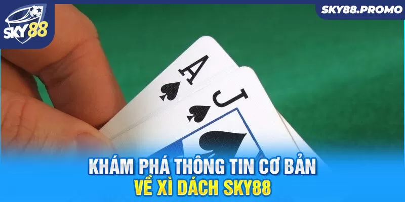 Khám phá thông tin cơ bản về xì dách Sky88