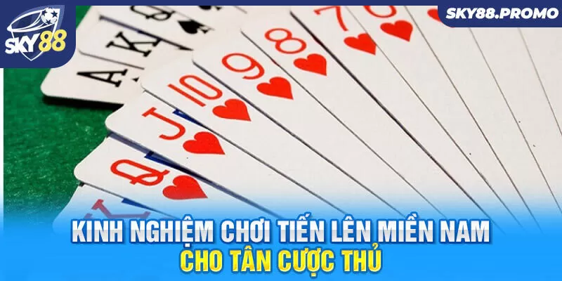 Kinh nghiệm chơi tiến lên miền Nam cho tân cược thủ